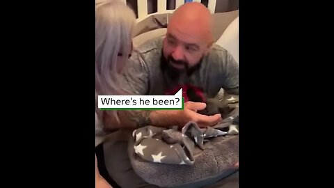 Getting French Bulldog for 50th Birthday #viralclips #viralvideos