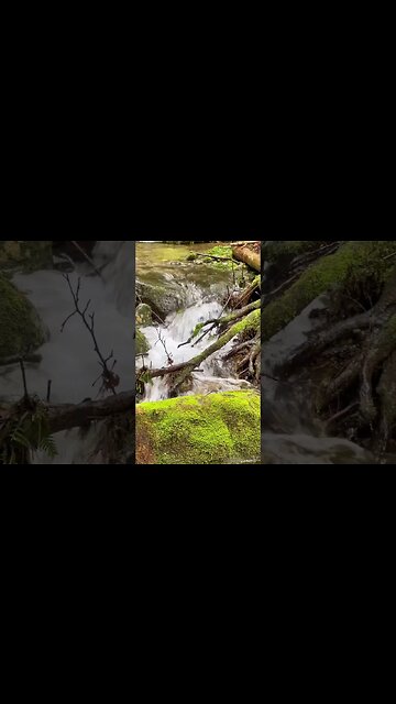 Does size really matter? #vancityadventure #vancity #shortvideo #doessizematter #sizematters