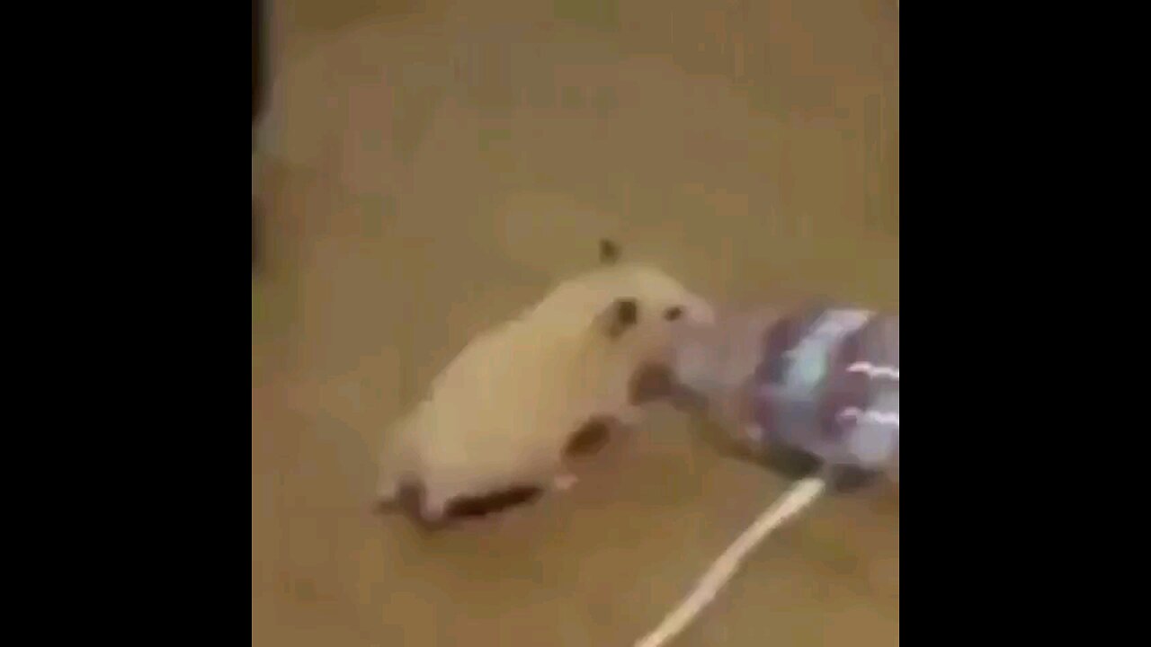 🙂🙃