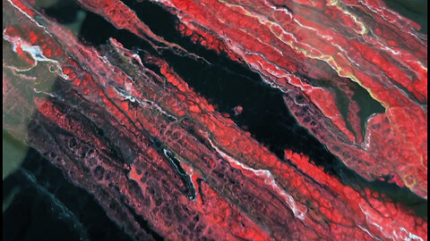 Sample Board Series Episode #4 Red & Black Marble