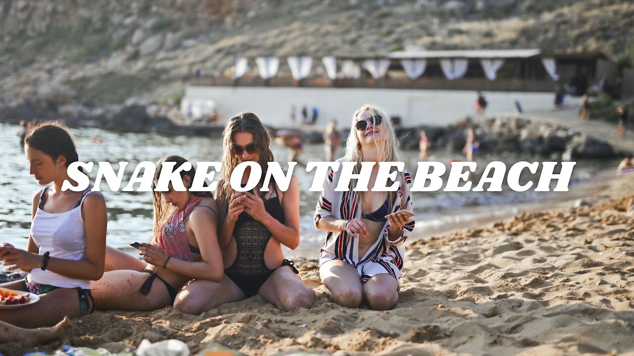 SNAKE ON THE BEACH – Nico Staf (No Copyright Music)