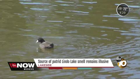 What's that smell at Lindo Lake in Lakeside?