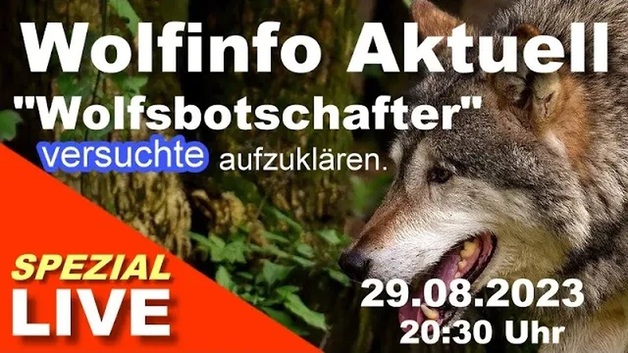 Wolfinfo Aktuell Spezial LIVE (Waldenberg: Wolfsbotschafter versuchte aufzuklären )