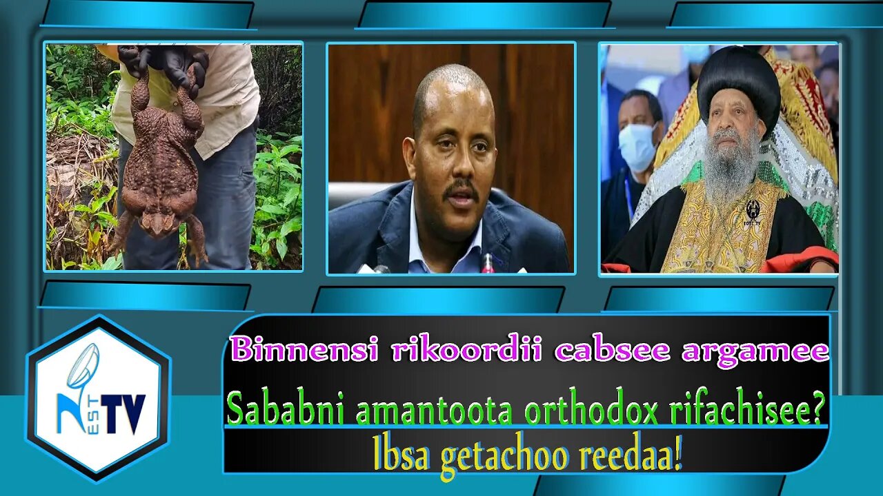 ETHIOPIA:NESTTV: Binnensi rikoordii cabsee argamee / Sababni amantoota orthodox rifachisee?