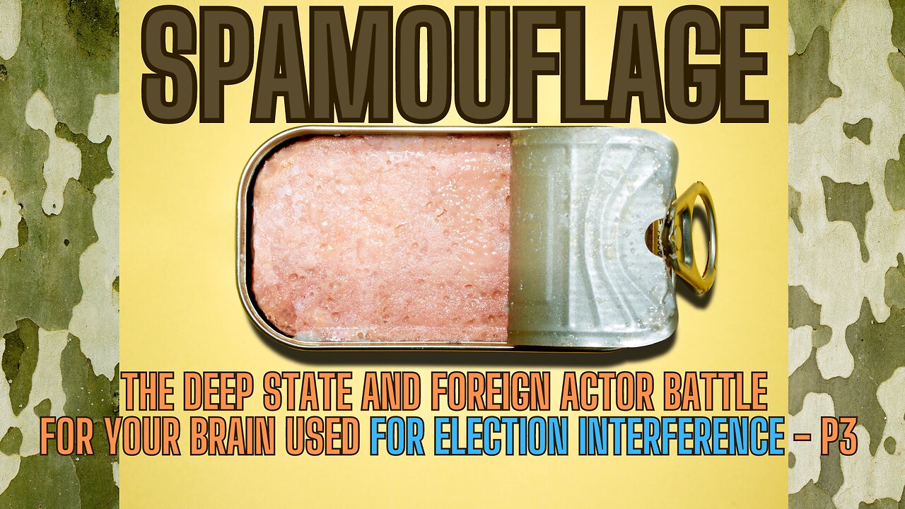 SPAMOUFLAGE - Election Interference Through Digital Disruption