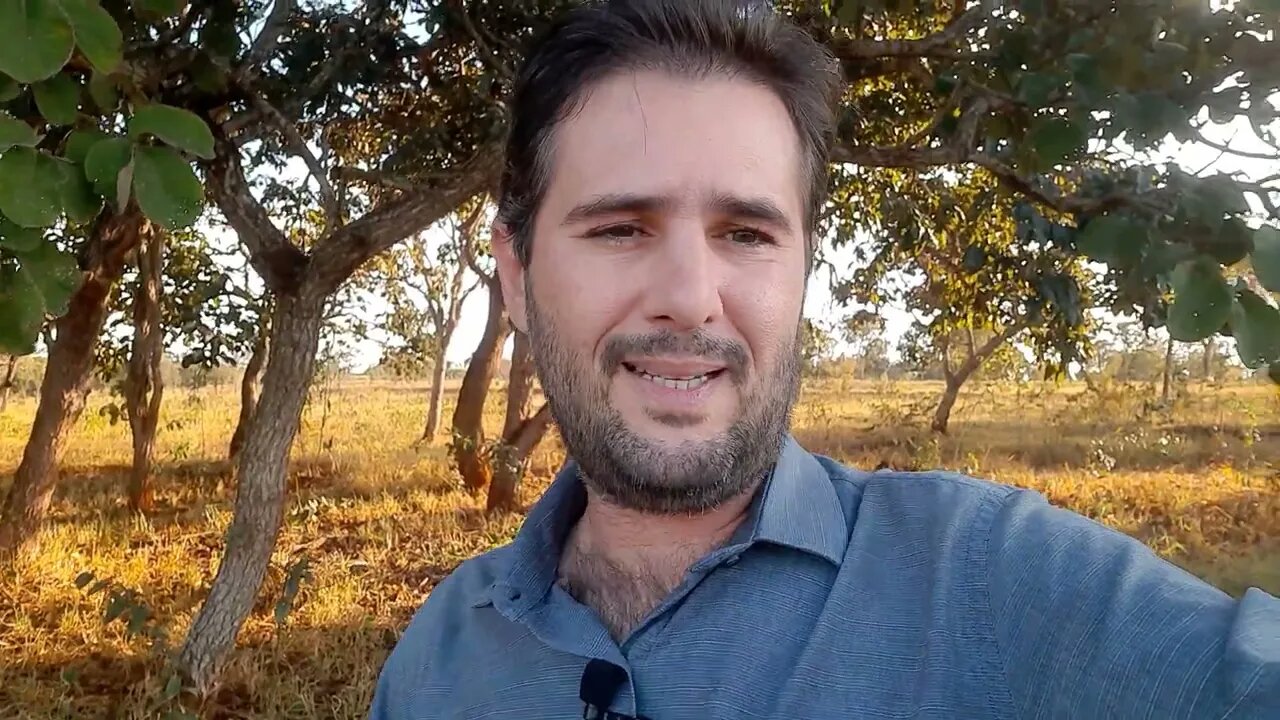 #periciajudicial: Fui intimado a agendar diligência, mas estou abarrotado de serviços