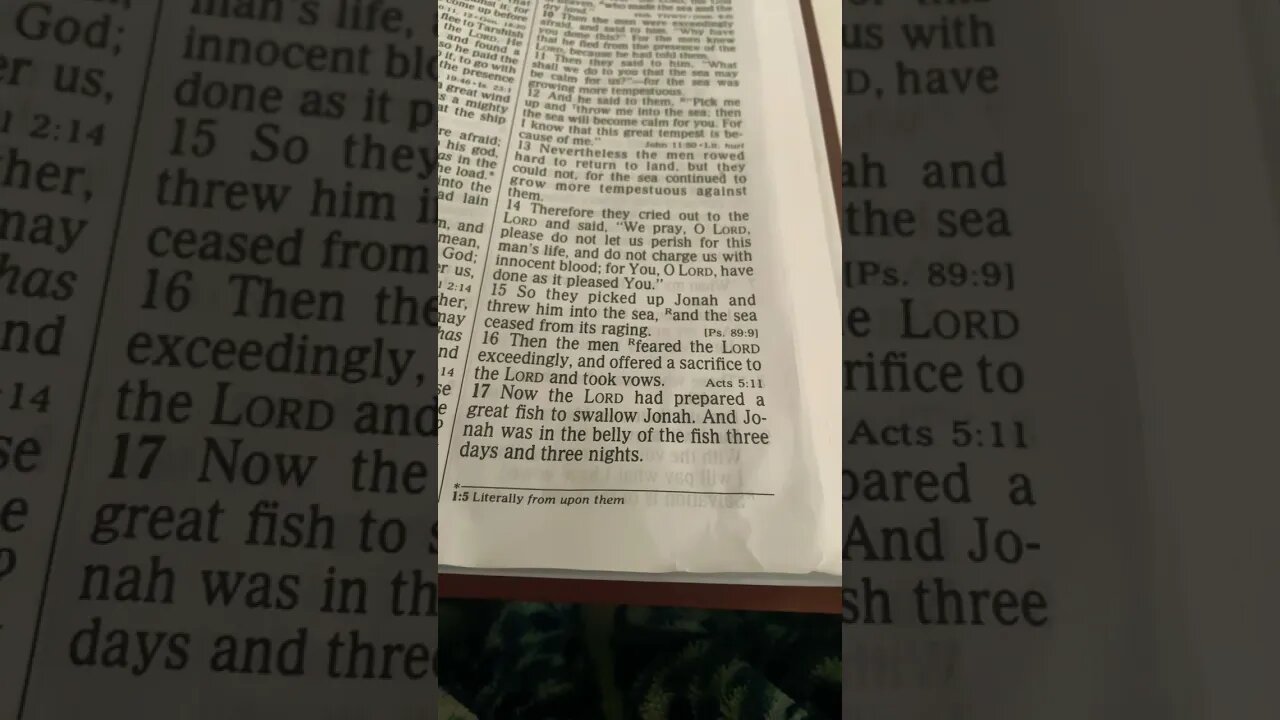 IN THE BELLY OF A GREAT FISH!!!