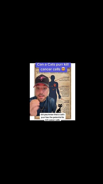 Cats heal with purr ??