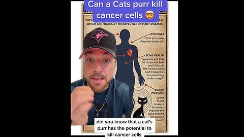 Cats heal with purr ??