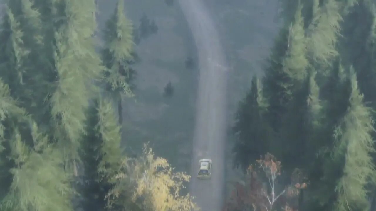 DiRT Rally 2 - Replay - Seat Ibiza Kitcar at Newhouse Bridge