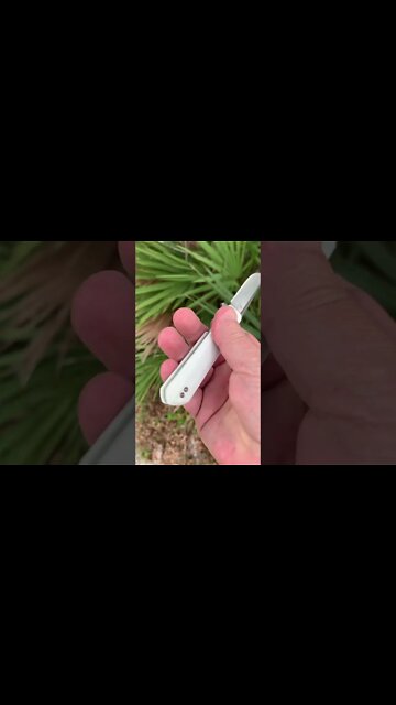 Bestechman Dundee A new line of knives by Bestech !