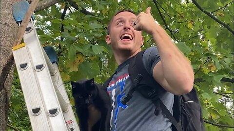 The Cat Rescue with 3V Gear Subrosa Pack