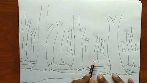 How to draw forest scene Step by step