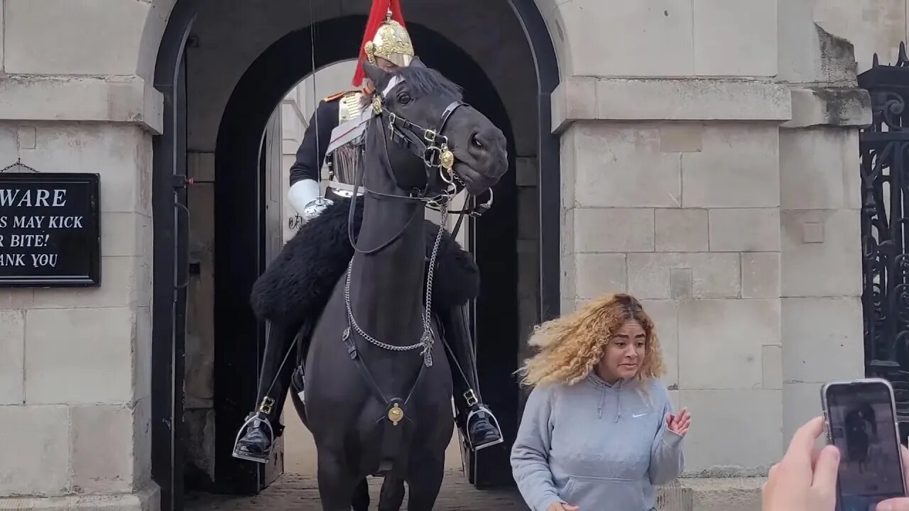 Get off the Rein tourist runs. what do you do need to use the bath room #horseguardsparade