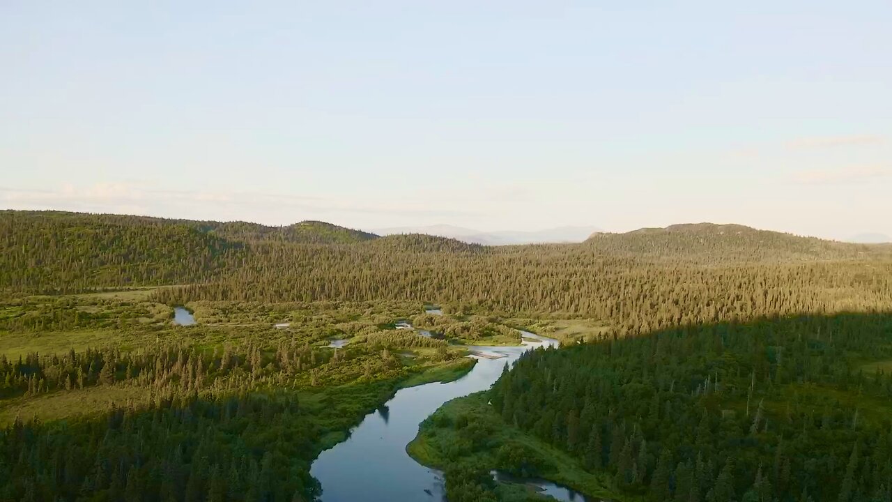 Morning on the river