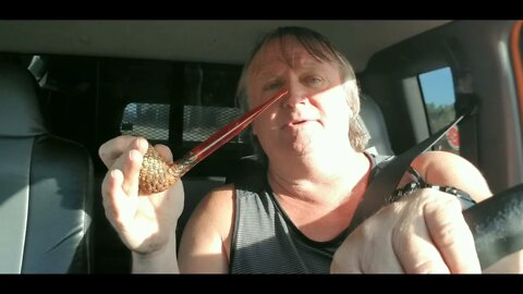 The Tunnell Take #300 Oysters, Vanilla Cavendish and Dependance or Independence?