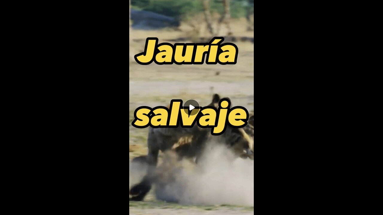 La jauría salvaje