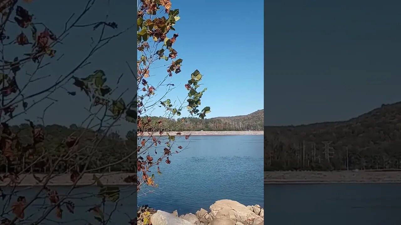 Yet Another Nice view to start the day fishing 3 - October 27th Alabama #shorts #fishing #scenery