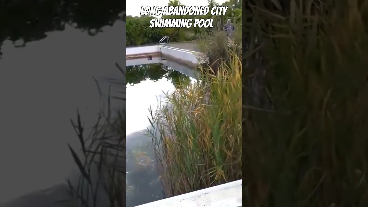 Long Abandoned City Swimming Pool Gary Indiana