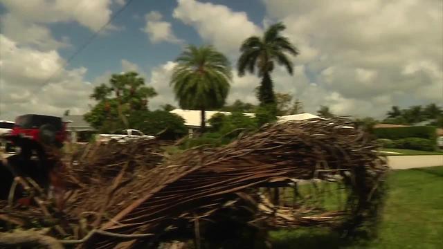 Dealing with yard debris before, after storm