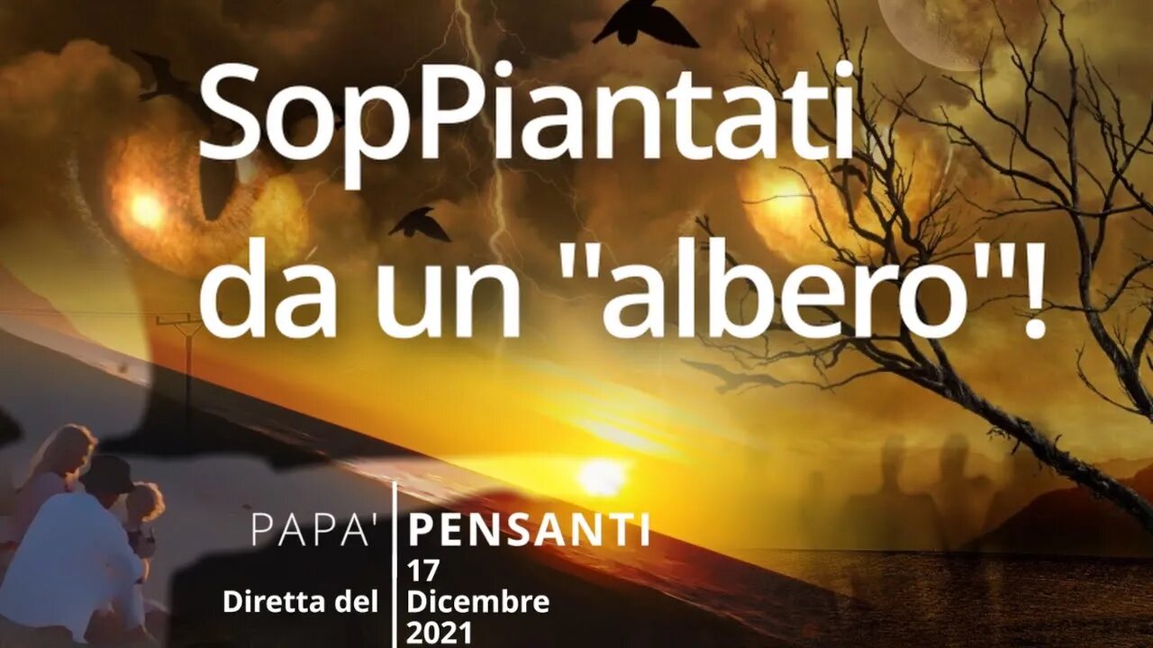 1 - SopPiantati da un "albero"! (Diretta del 17 Dicembre 2021)