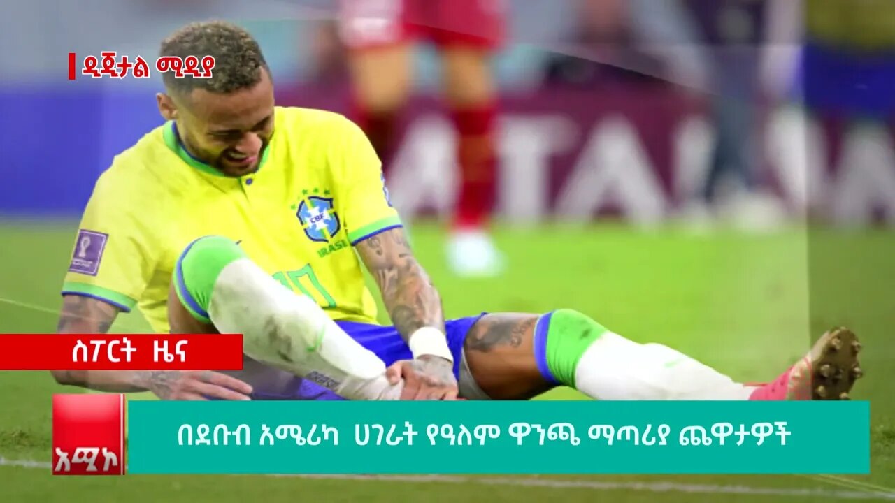 በደቡብ አሜሪካ ሀገራት የዓለም ዋንጫ ማጣሪያ ጨዋታዎች