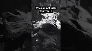 Careful Where You Walk 😤