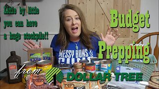 $25 Budget Prepper Pantry Stock UP from Dollar Tree ~ Preparedness