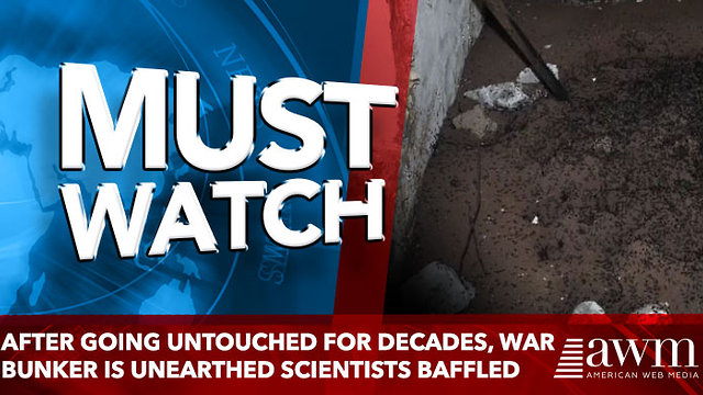 After Going Untouched For Decades, War Bunker Is Unearthed Scientists Baffled