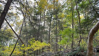 Waterfall Patterson NY USA Michael Ciaiola Conservation Area Hiking Trail