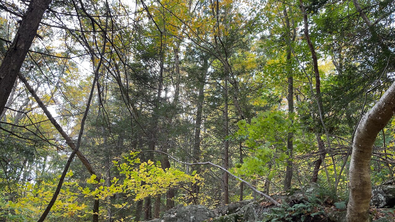 Waterfall Patterson NY USA Michael Ciaiola Conservation Area Hiking Trail