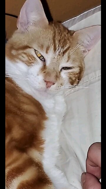 Cosmo actually has magical powers