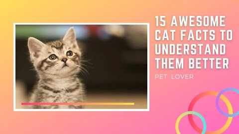 15 Awesome Cat Facts To Understand Them Better