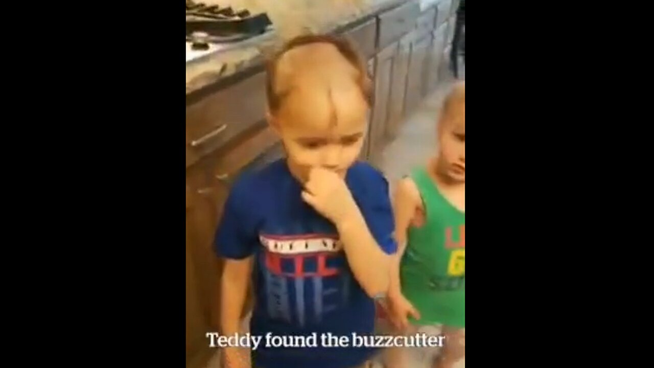 Teddy Found The Buzz Cutter