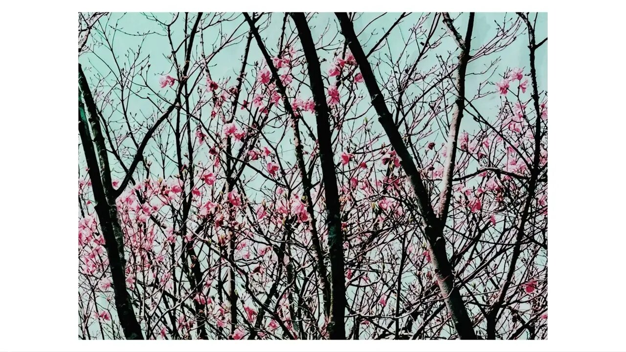 Can thought see anything but itself? | Art A-Loven