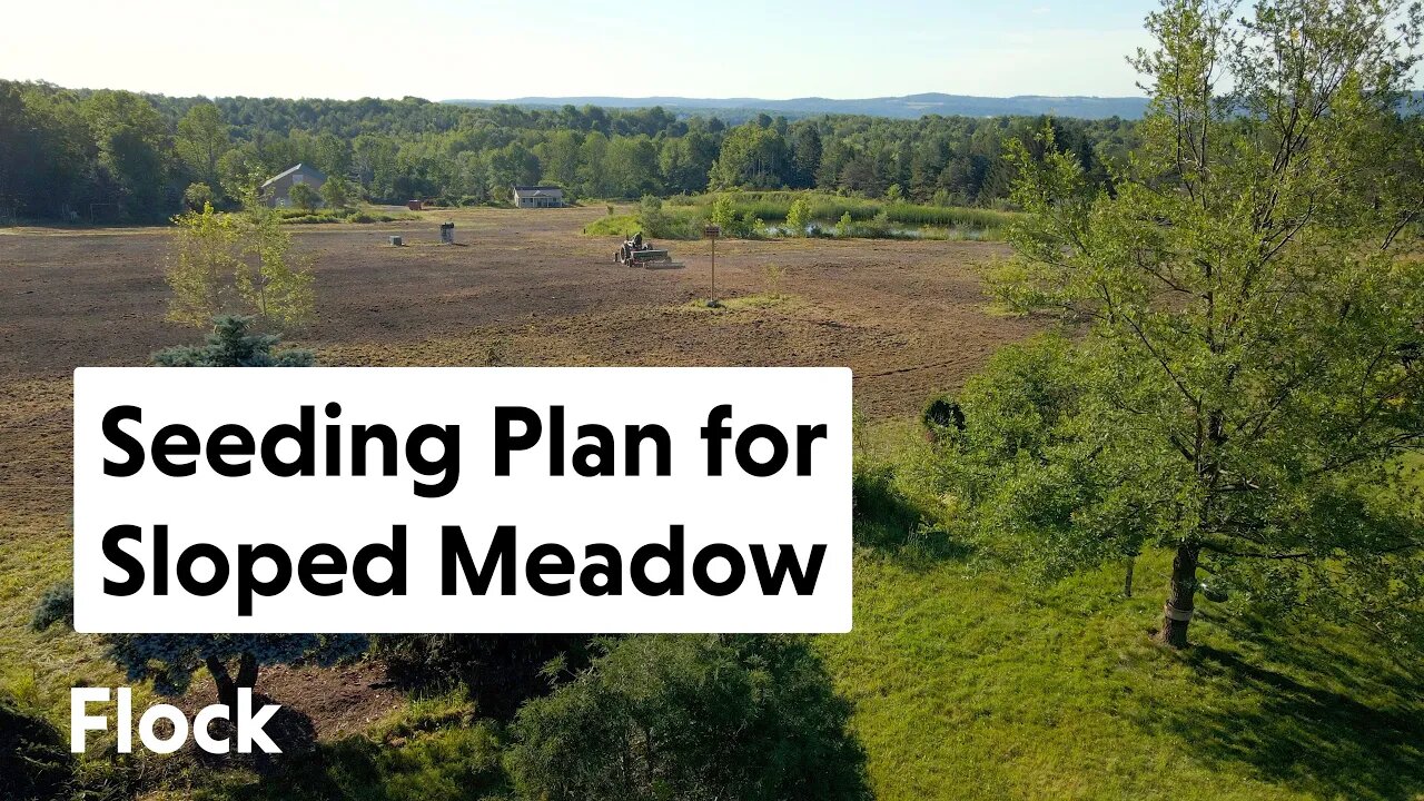 This SLOPED MEADOW Never Got Seeded — Ep. 215