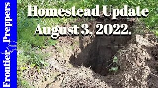 Homestead Update _ August 3, 2022