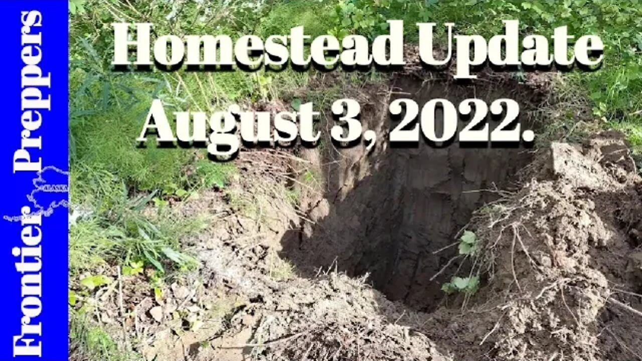 Homestead Update _ August 3, 2022