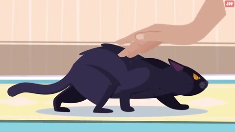 21 Ways You Are Hurting Your Cat Without Realizing