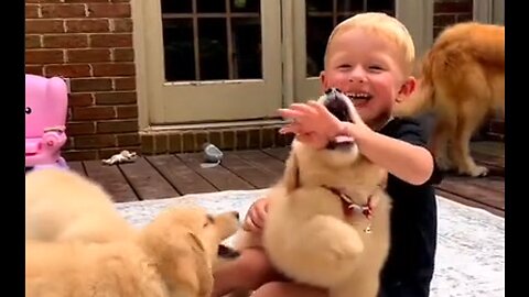 This Boy Really Loves His Puppies, And They Certainly Love Him - HaloRockNews