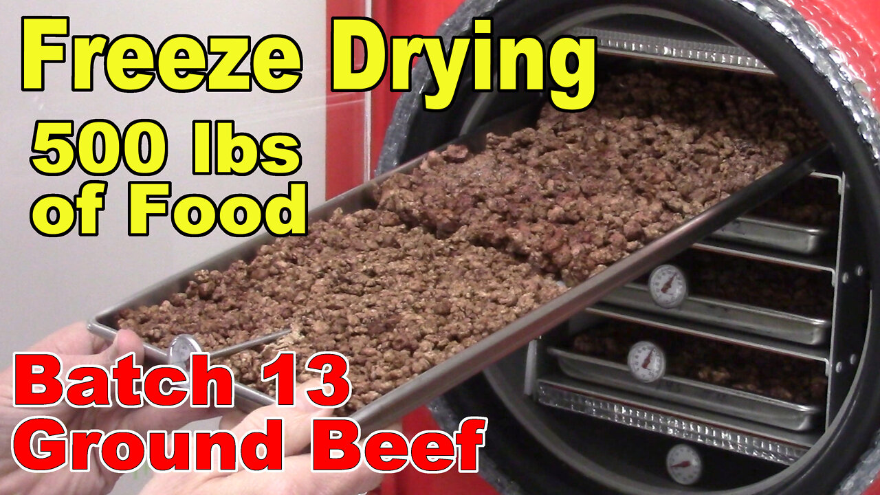 Freeze Drying Your First 500 lbs of Food - Batch 13 - Ground Beef, Lean, Coarse Ground