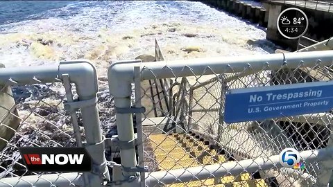 Discharges stop, St. Lucie Estuary begins to recover