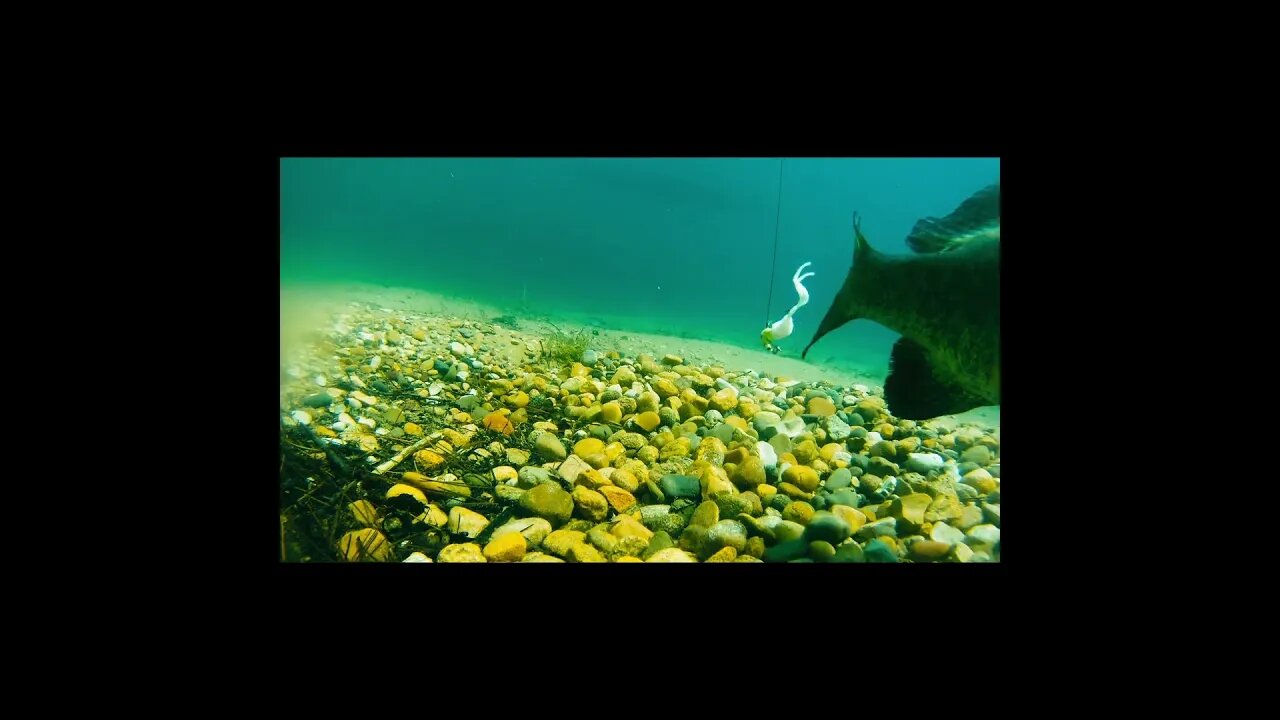 not the right bait i guess