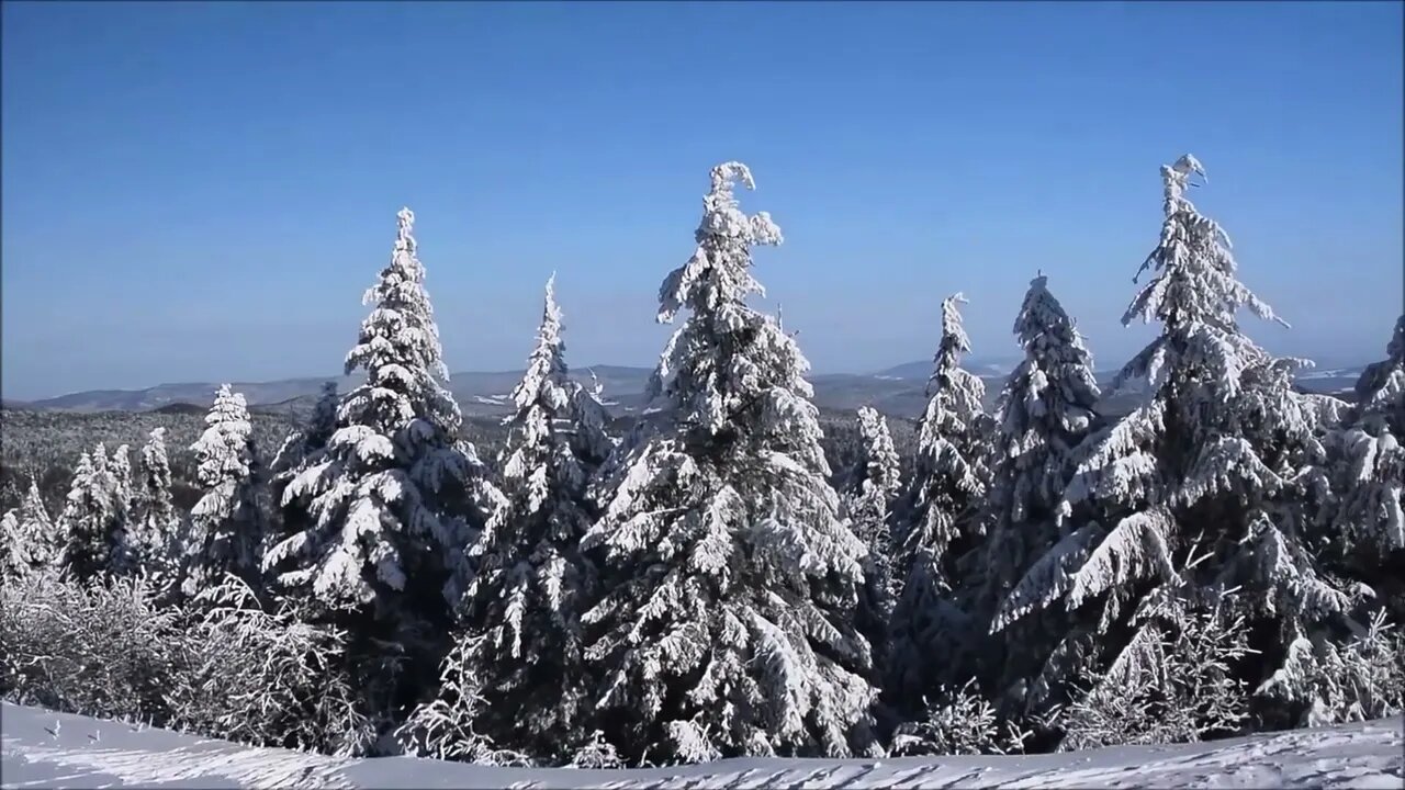 Colinde Traditionale