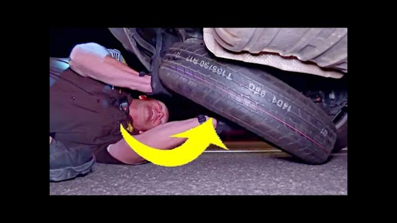 Mechanic Checks Cop’s Tire, Then Spots Green Nest Inside