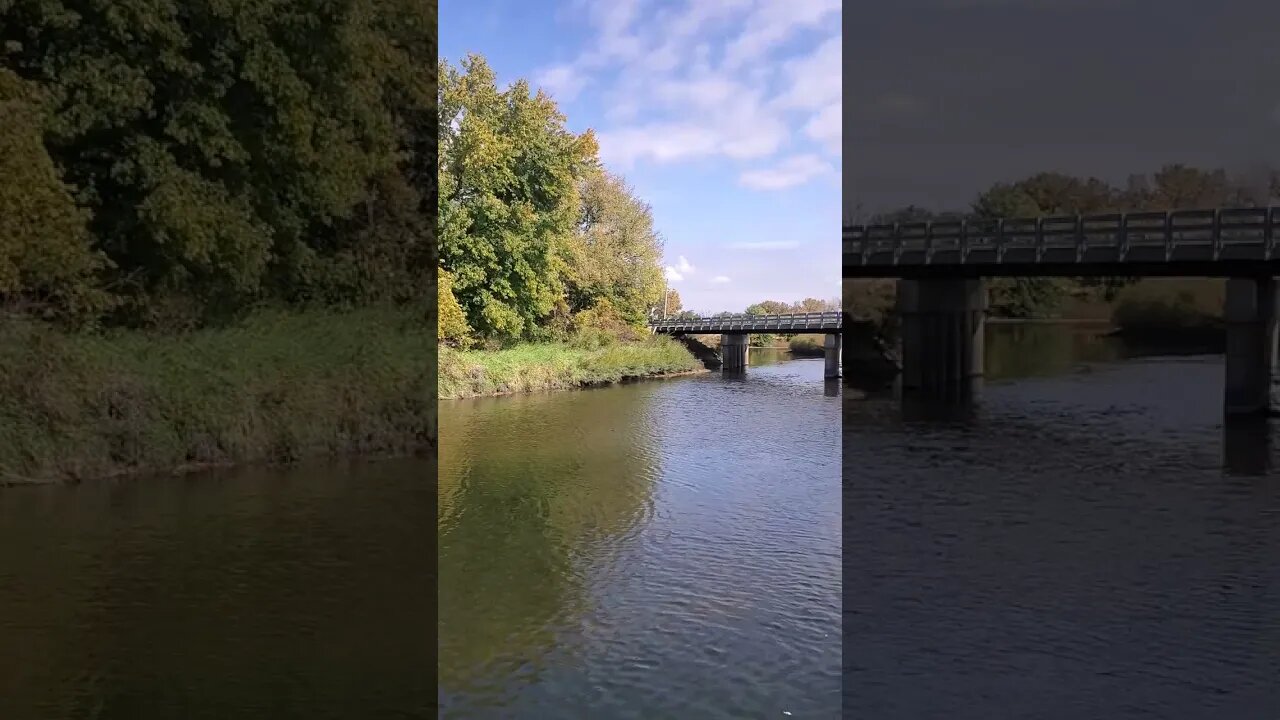 beautiful autumn river with bridge.