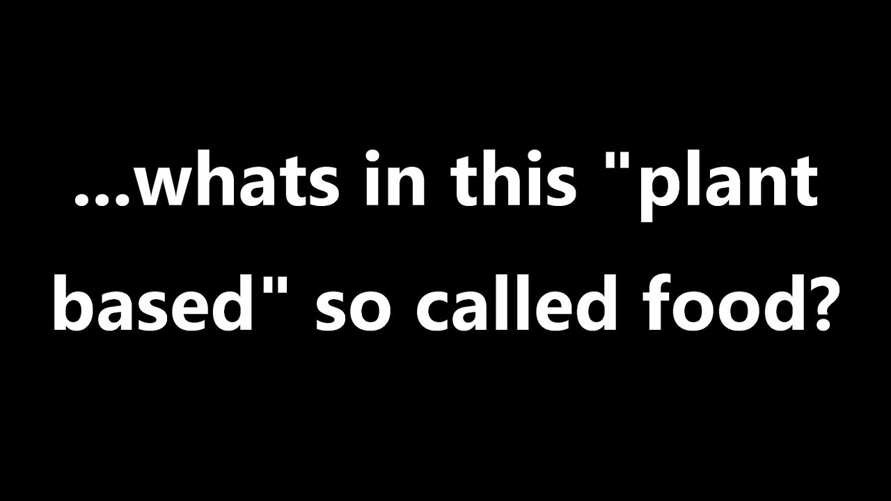 ...whats in this "plant based" so called food?