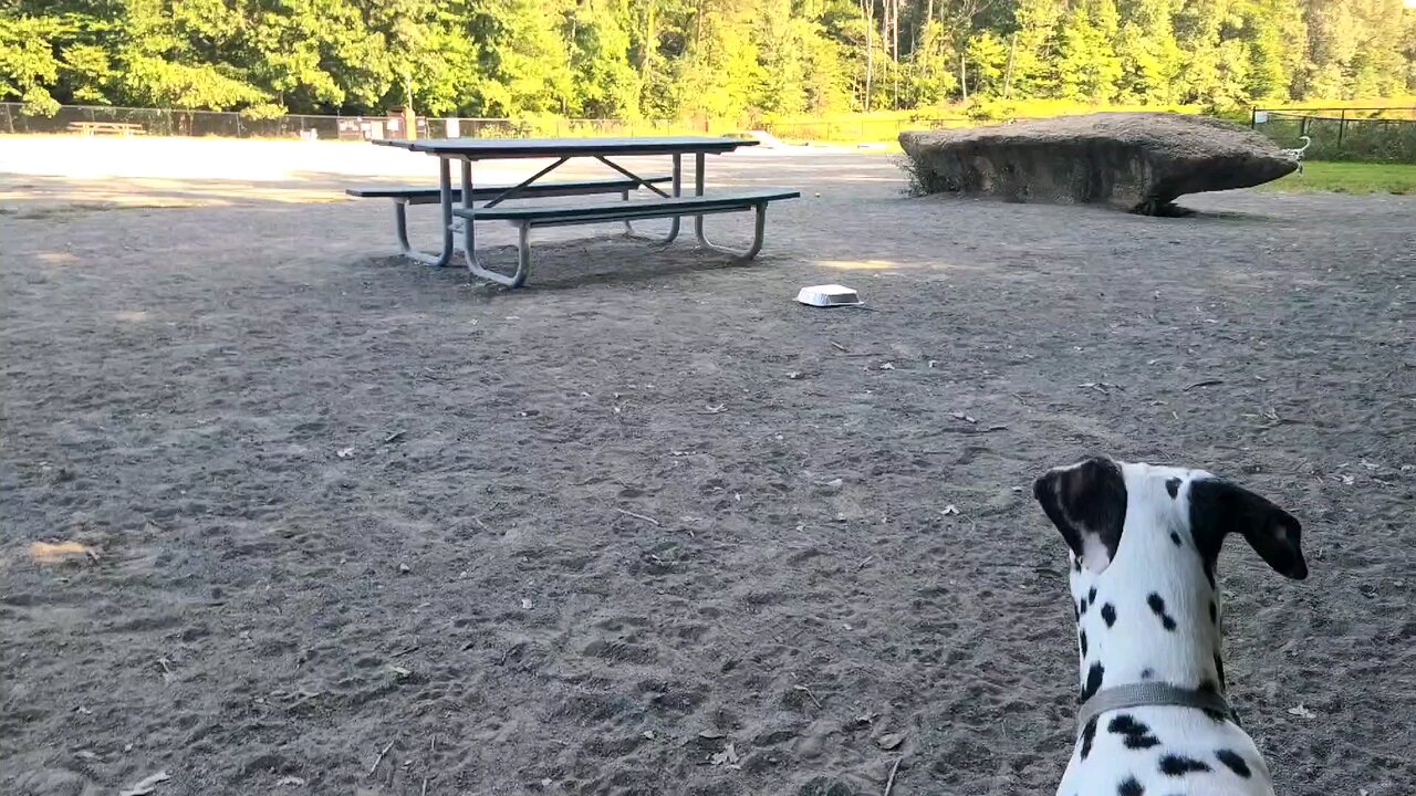 Luna Checking In