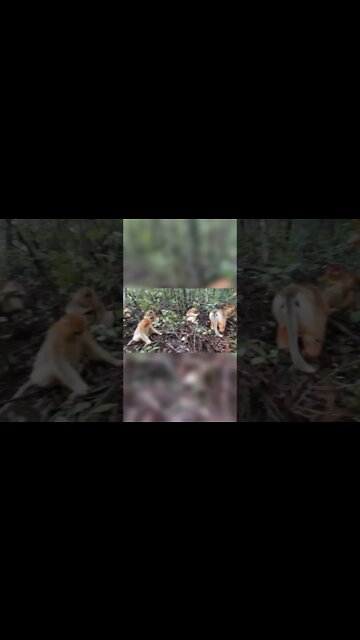 Most Amazing and trending video||relaxing your mind||trendig videos|| #shorts #trending #viral #live