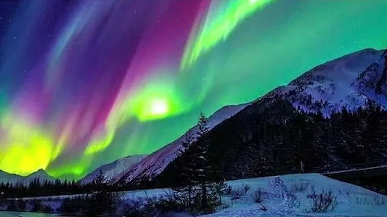 Glimpses of Paradise Reveling in Nature's Breathtaking Delights